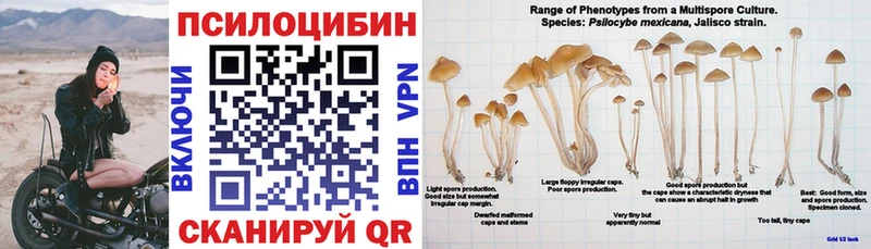 Галлюциногенные грибы мицелий  Новоалександровск 
